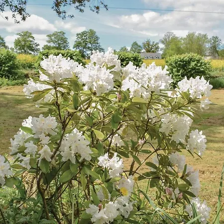 Casa de Férias Chateau De Bremesnil P-836 *
