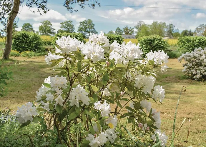 Feriehus Chateau De Bremesnil P-836 *